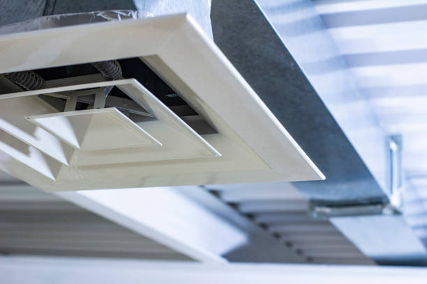 Best Air Duct Sanitizing Services  in Belzoni, MS