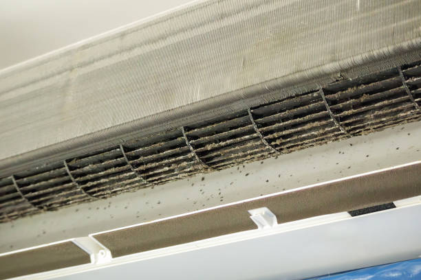 Best Residential Air Duct Cleaning  in Belzoni, MS